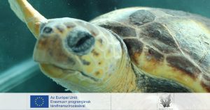 LEVIMORE ERASMUS+ projekt – Olaszországi meeting beszámoló