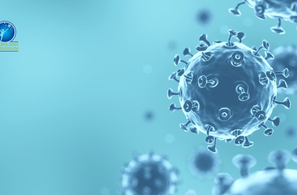 Európa 2000 Gimnázium - járványügyi fejlemények